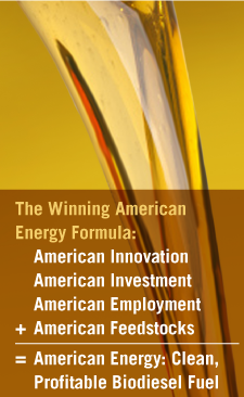 The Winning American Energy Formula