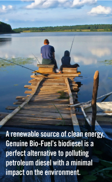 A renewable source of clean energy.